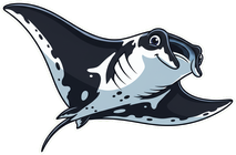 Manta Ray