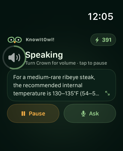 KnowItOwl speaking an answer on Apple Watch